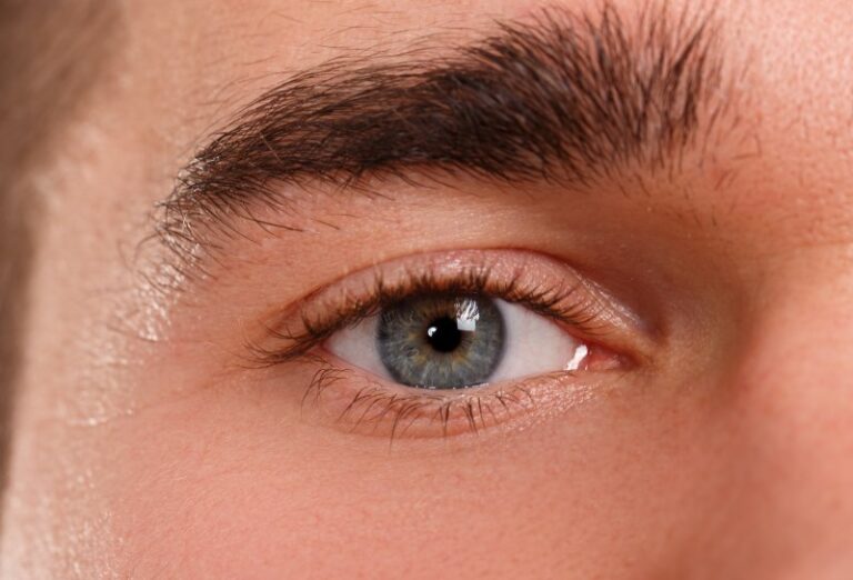 Membranas retinianas