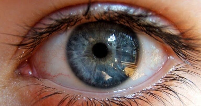 retina